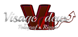 Visage Deux Logo